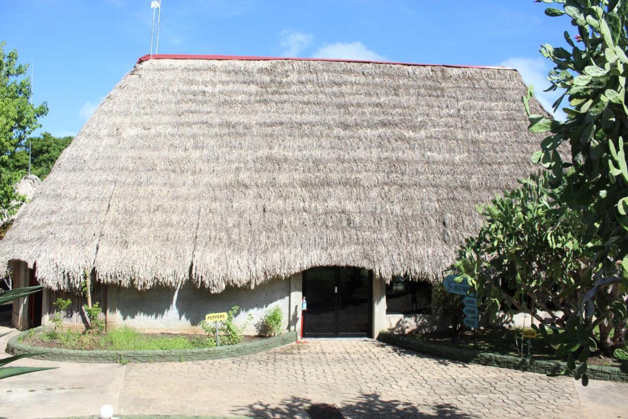 Calico Jack'S Resort Sayab Camp Dış mekan fotoğraf